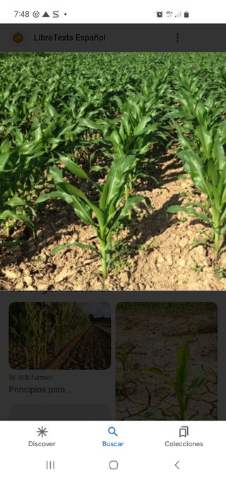 Terreno en alquiler