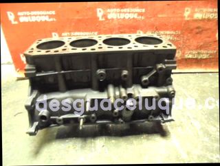 BLOQUE MOTOR FORD TOURNEO CONNECT 1061
