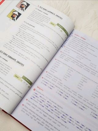 Llengua catalana i literatura 1 Batx. Ed. Cruilla