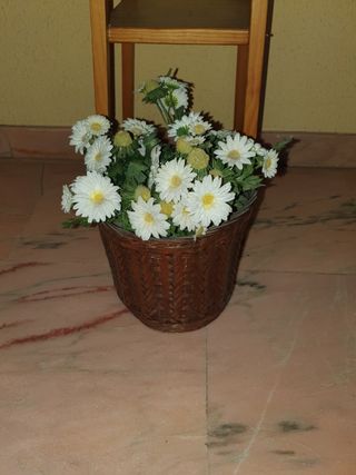 maceta de flores margaritas