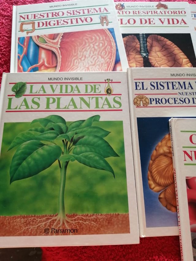 Colección Mundo Invisible