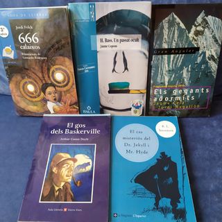 llibres català 12 anys