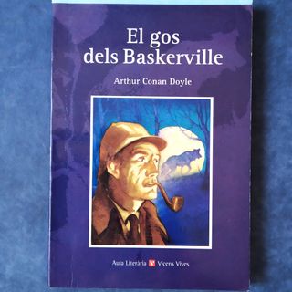 llibres català 12 anys