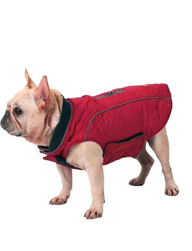 chaqueta perro roja talla M NUEVO!!