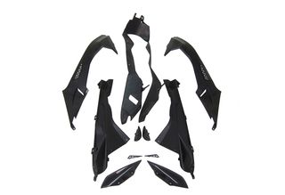 CARENADO PINTADO  BMW S1000R 2009-2014