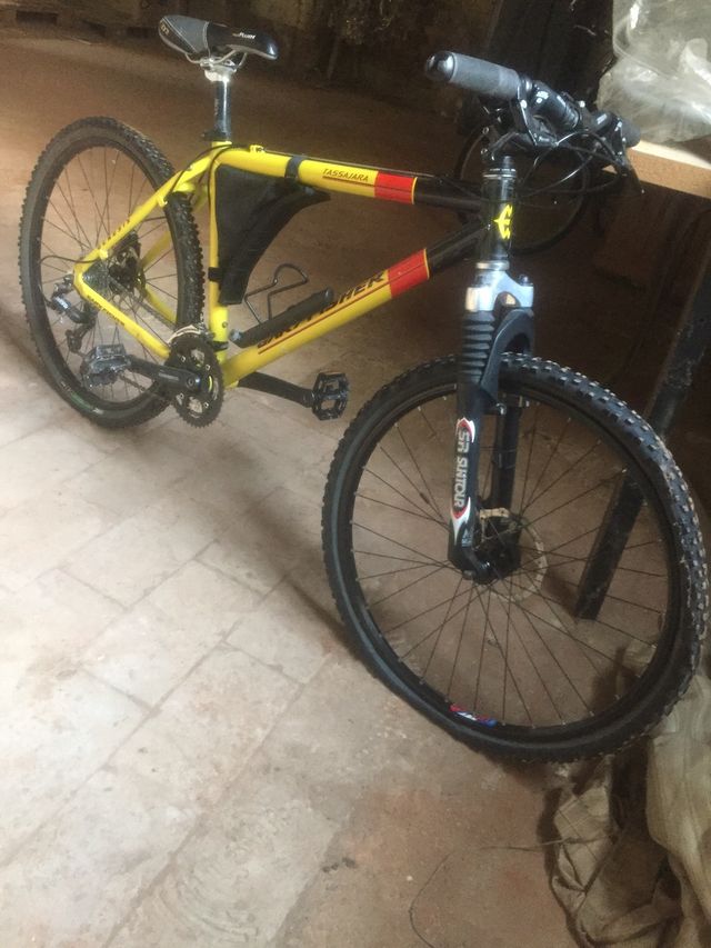 Bicicletta mountain bike