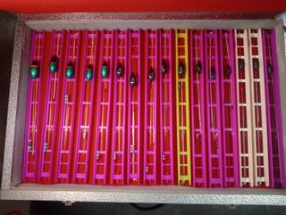 Kit de Pesca Enchufable