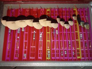 Kit de Pesca Enchufable