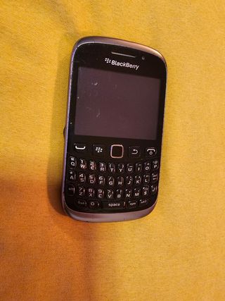 Blackberry Curve