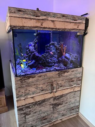 Acuario marino cuadrado 1m x 1m