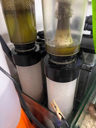 Acuario marino cuadrado 1m x 1m