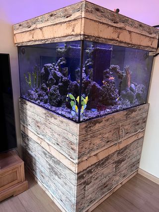 Acuario marino cuadrado 1m x 1m