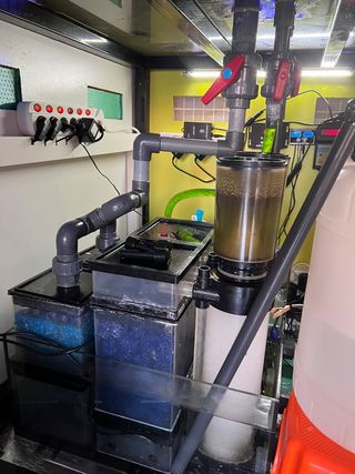 Acuario marino cuadrado 1m x 1m