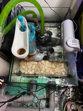 Acuario marino cuadrado 1m x 1m