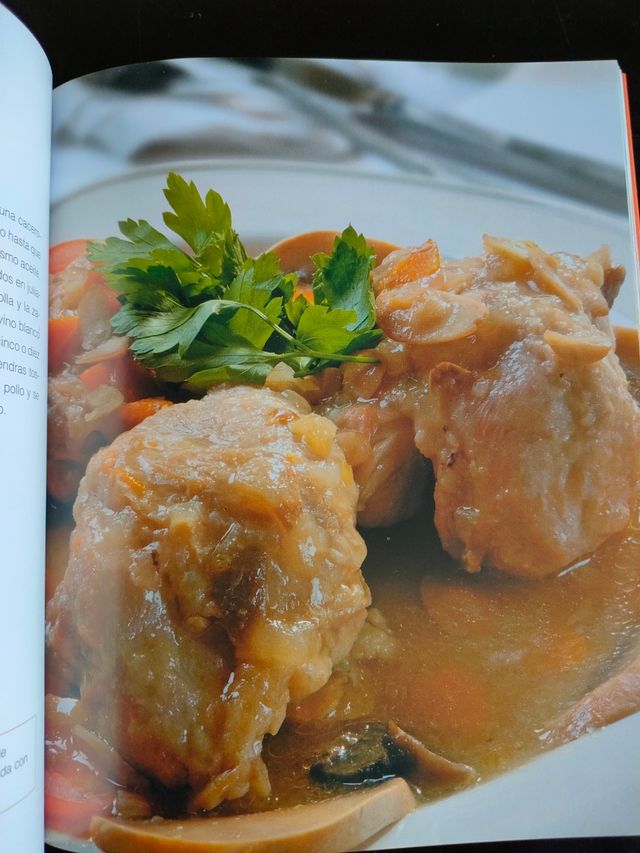 LIBRO COCINA ALEMANA 