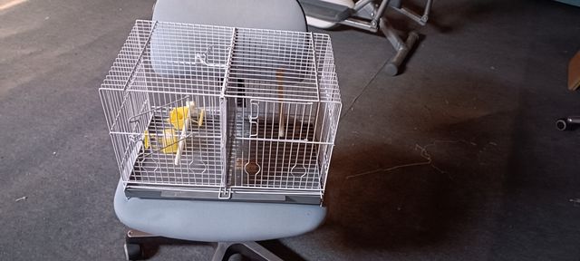 jaula doble de cría