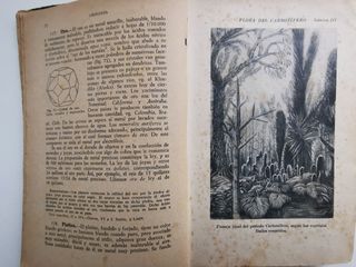 HISTORIA NATURAL. EDELVIVES. 1943