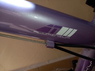 Bicicleta Monty de 24".