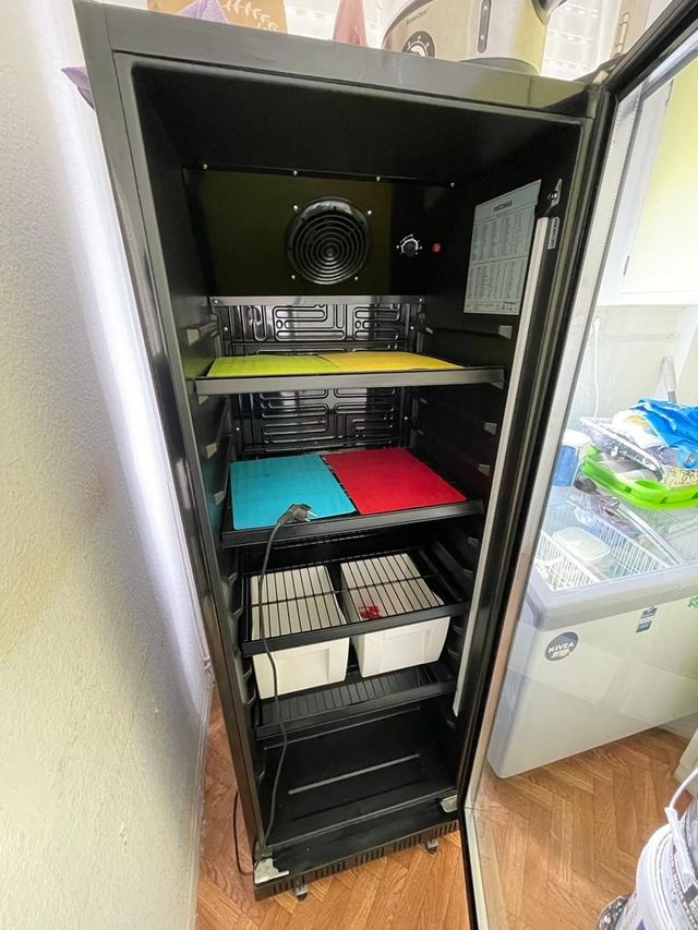 Nevera negra con puerta transparente, Makro. de segunda mano por 200