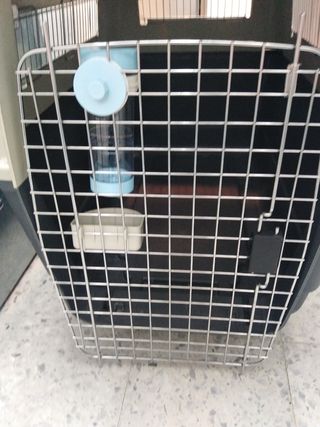 trasportin para perros medianos