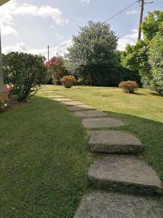 Decespugliatori per legno SC