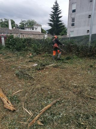 Decespugliatori per legno SC