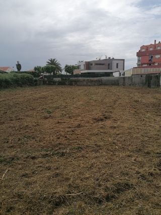 Decespugliatori per legno SC