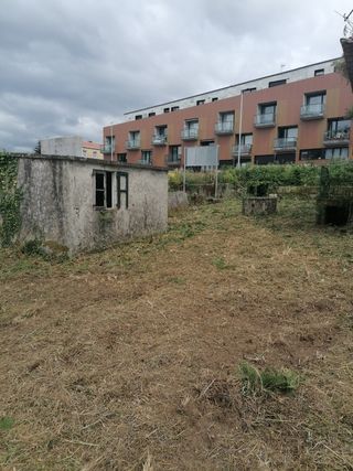 Decespugliatori per legno SC