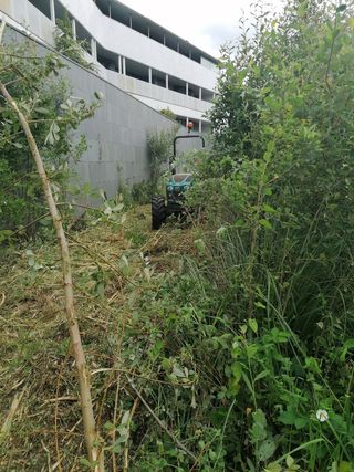 Decespugliatori per legno SC