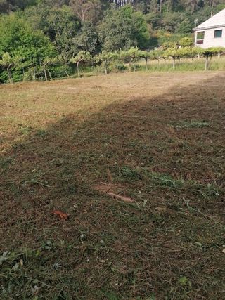 Decespugliatori per legno SC