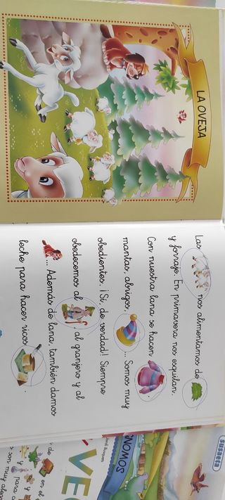 2 LIBROS DE LEO Y VEO MAS OTRO GRATIS