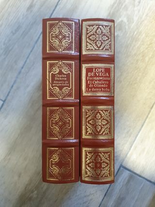 colección libros clásicos