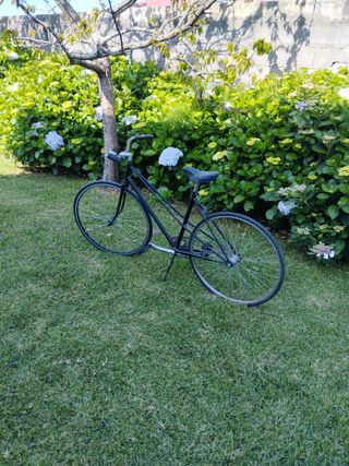 Bicicleta BH modificada contrapedal