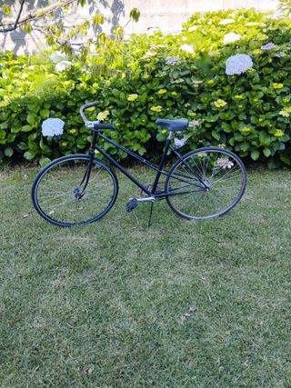 Bicicleta BH modificada contrapedal