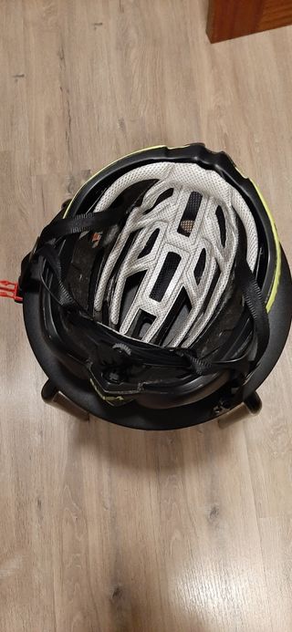 casco catlike