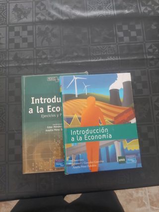 Introducción a la economía, Uned