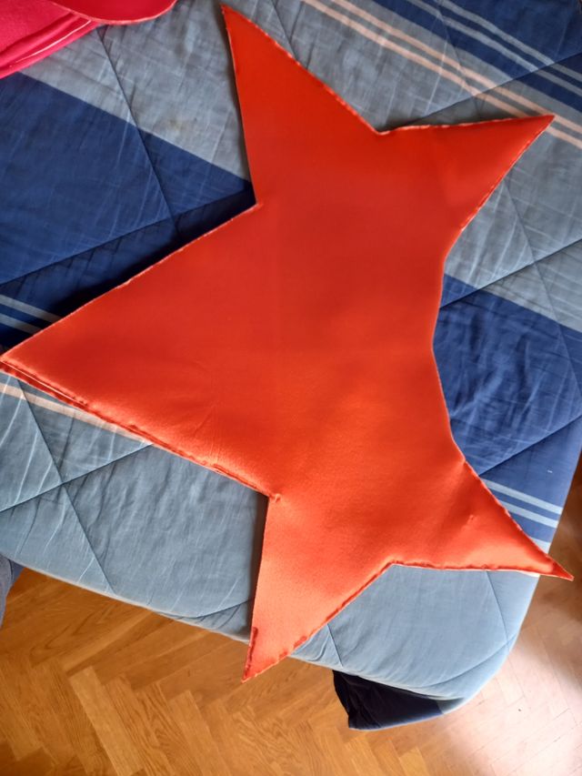 Disfraz de estrella de mar