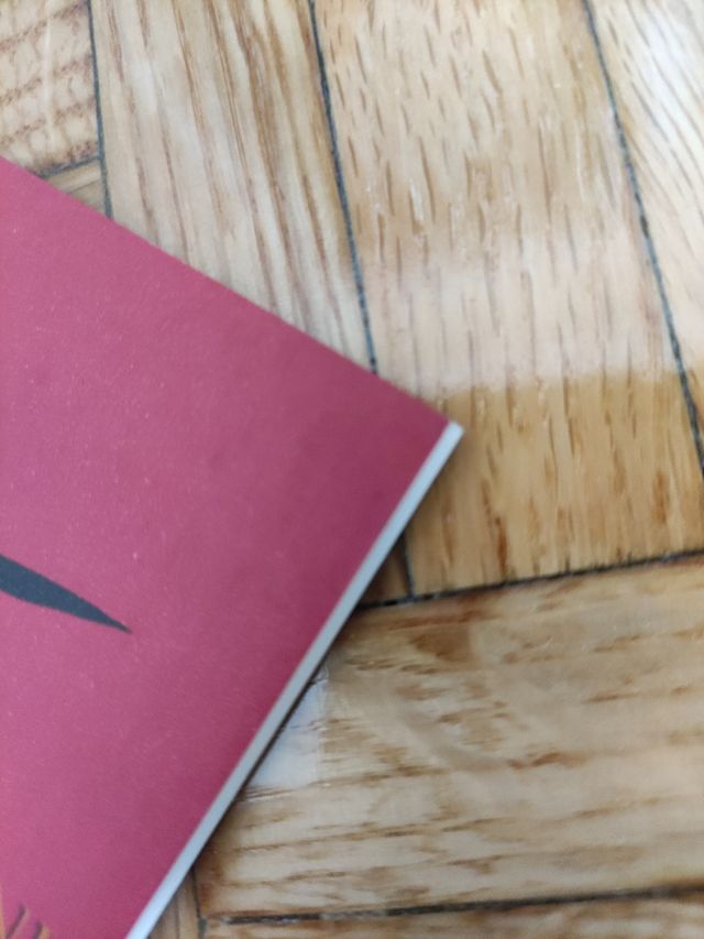 La estrella del desierto. Vol. 1