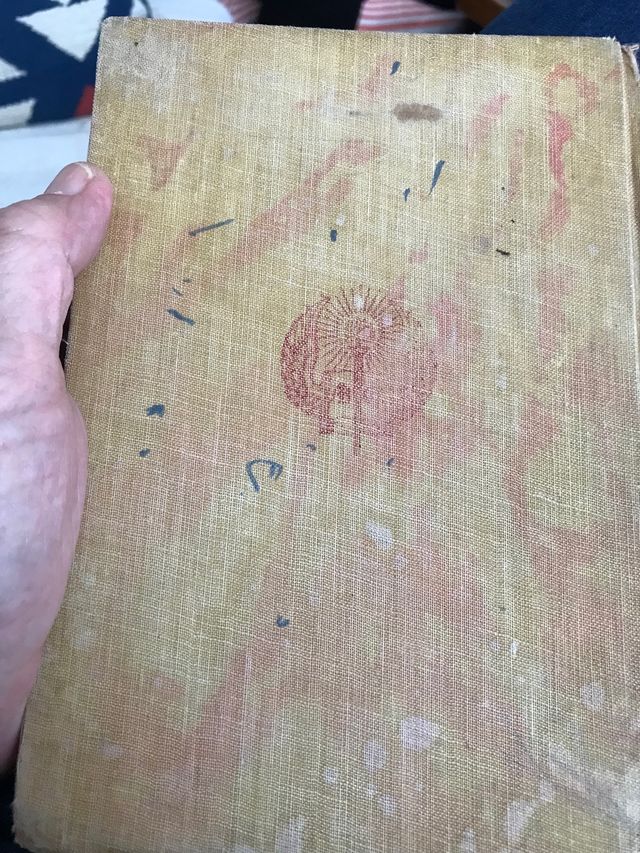 El Niño de la Bola, libro antiguo