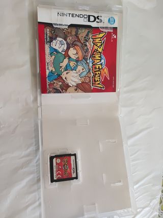 Inazuma Eleven (Nintendo DS, 2011)