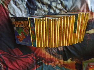 lote 19 libros Geronimo Stilton