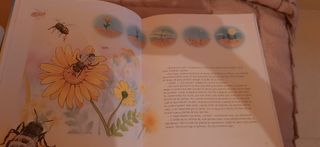 colección libros educativos infantil- juvenil