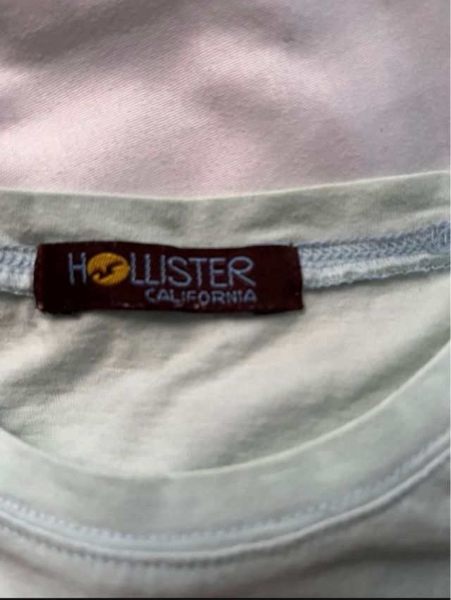 Regalo Hollister con short