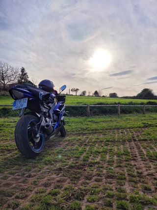 yamaha r6r 2008, no cambios
