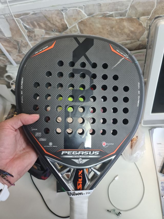 SIUX PEGASUS 3K DA RIPARARE