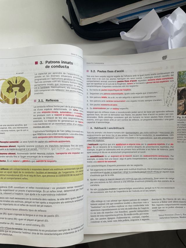 psicologia i sociologia 2 batxillerat mc graw hill