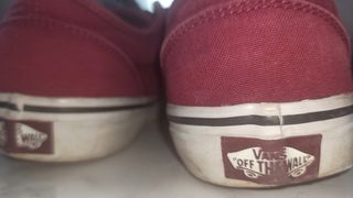 vans granates