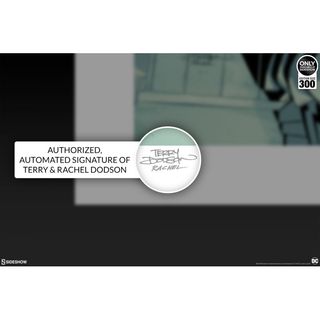 Litografia Batgirl and the Birds of Prey 46 x 61.