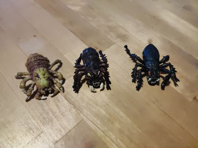 Bichos aplasta mocos Real bugs