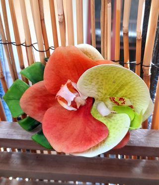 flor hawaiana naranja y lima